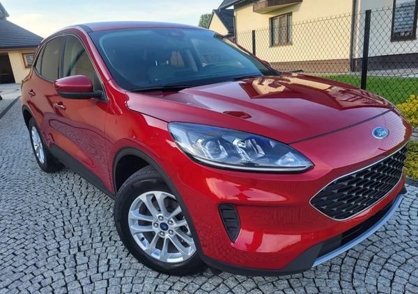 Ford Kuga cena 81900 przebieg: 26000, rok produkcji 2021 z Tarnów małe 436